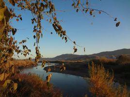細鱗河[黑龍江支流松花江的支流]