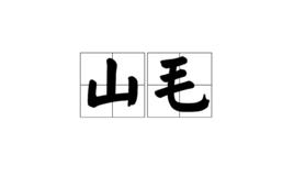 山毛 山毛