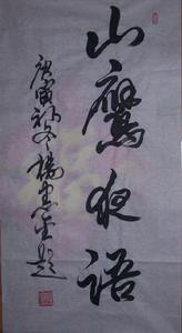 楊憲金題寫書名