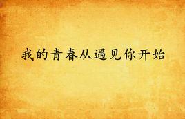 我的青春從遇見你開始 我的青春從遇見你開始