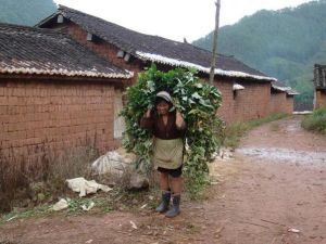 麻利平村 麻利平村