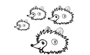 刺蝟法則 刺蝟法則