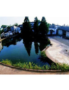 諸葛村[浙江省蘭谿市諸葛村]