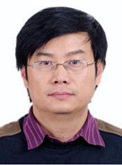 王建國[武漢大學電氣工程學院教授]