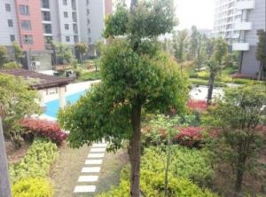 岱山保障房 岱山保障房