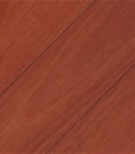 馬來甘巴豆 馬來甘巴豆