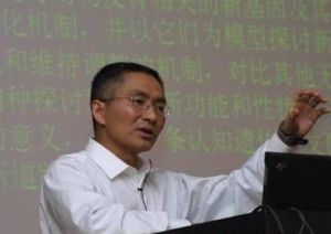 王文[中科院昆明動物研究所研究員]