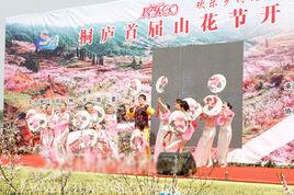 桐廬山花節 桐廬山花節