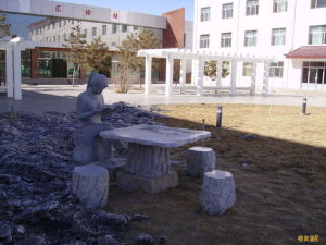 阿盟一中 阿盟一中