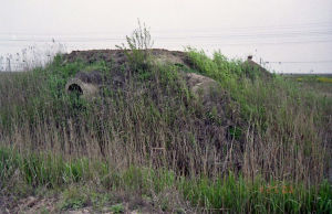 射陽國防工事群 射陽國防工事群