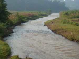 老胡墳自然村 老胡墳自然村