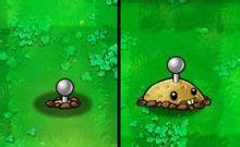 《植物大戰殭屍》[PopCap Games開發的遊戲]