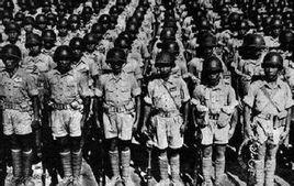 國民革命軍第五十二師 國民革命軍第五十二師