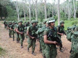 新加坡陸軍 新加坡陸軍