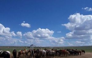 希拉穆仁大草原