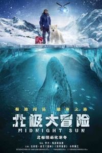 北極大冒險[2016年達科塔·高尤主演電影]