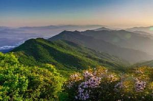 四川天馬山國家森林公園