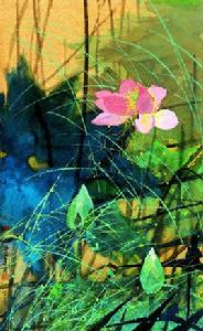 金池朱荷 金池朱荷