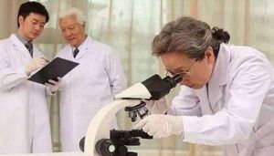 科研人員 科研人員