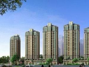 九洲水岸香樟 九洲水岸香樟