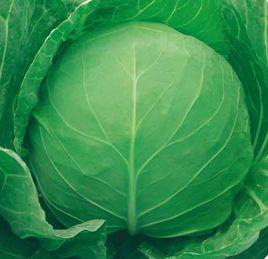 荷蘭綠寶石 荷蘭綠寶石