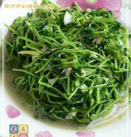 清炒豆苗 清炒豆苗