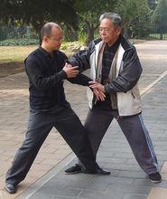 師爺馮志強宗師親自指導推手