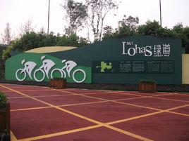 錦江198綠道 錦江198綠道