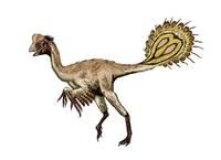 天青石龍 天青石龍