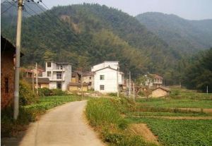 上茶庵村 上茶庵村