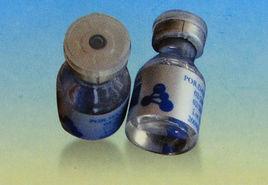 基因生長肽 基因生長肽