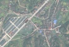 柳樹鎮[陝西省西鄉縣柳樹鎮]