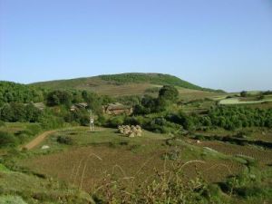 皮厚自然村 皮厚自然村