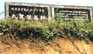 臨澧九里楚墓群 臨澧九里楚墓群