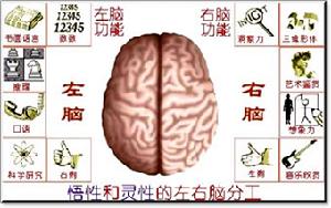 全腦速讀 全腦速讀