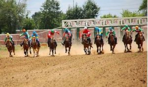 吉禾民族賽馬場 吉禾民族賽馬場