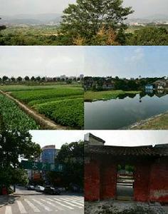 大片美村 大片美村