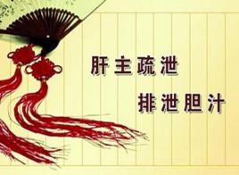 肝主疏泄 肝主疏泄