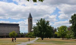 康奈爾大學