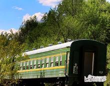 樹頂漫步追夢火車