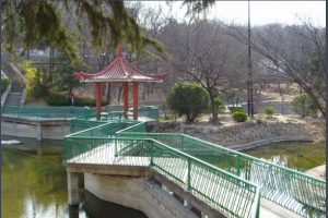 櫸林公園
