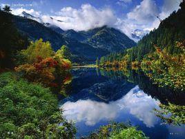 九寨溝樹正溝 九寨溝樹正溝