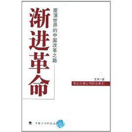 漸進革命·震盪世界的中國改革之路 漸進革命·震盪世界的中國改革之路