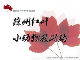 徐州紅葉小動物救助站 徐州紅葉小動物救助站