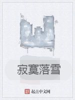 寂寞落雪 寂寞落雪