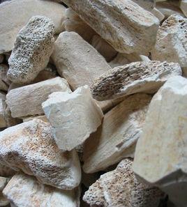 龍骨[骨骼藥材]