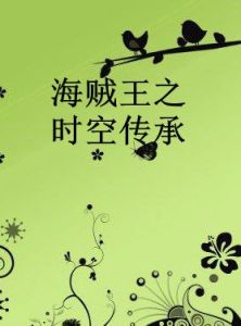 海賊王之時空傳承 海賊王之時空傳承
