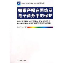 智慧財產權在網路及電子商務中的保護 智慧財產權在網路及電子商務中的保護