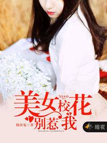 美女校花別惹我[暗夜文學網小說]