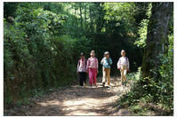 陶家園自然村村內道路
